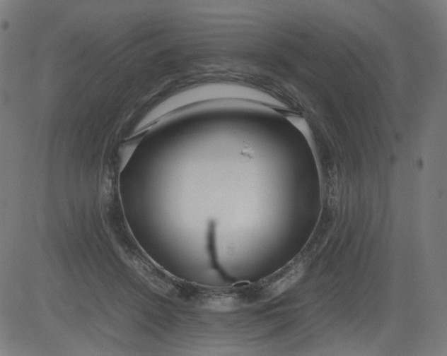 X0000082740456200702091907