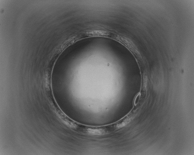 X0000082740457200702091907