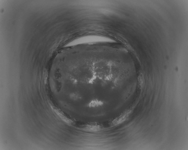 X0000082740458200702091907