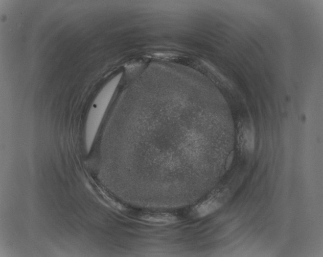 X0000082740459200702091907