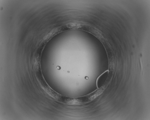 X0000082740460200702091907