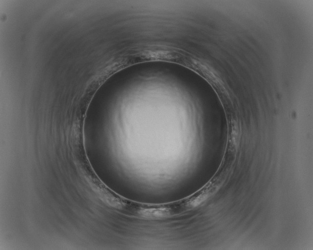 X0000082740461200702091907