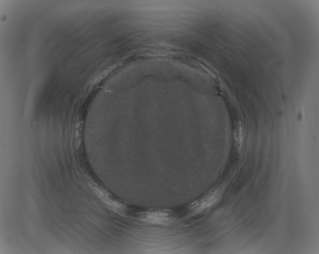 X0000082740462200702091907