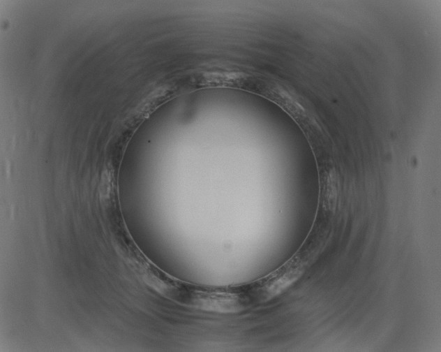 X0000082740463200702091907