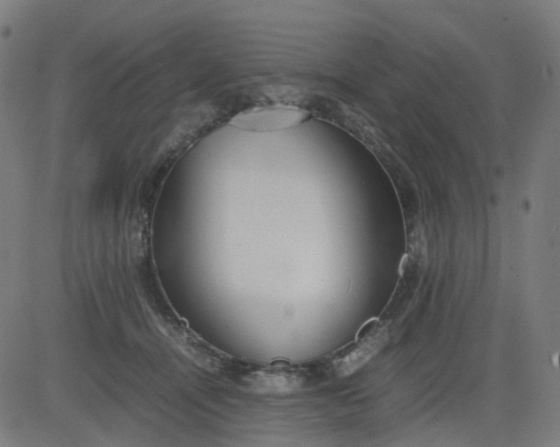 X0000082740464200702091908