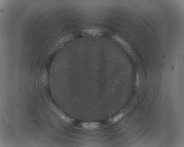 X0000082740465200702091908