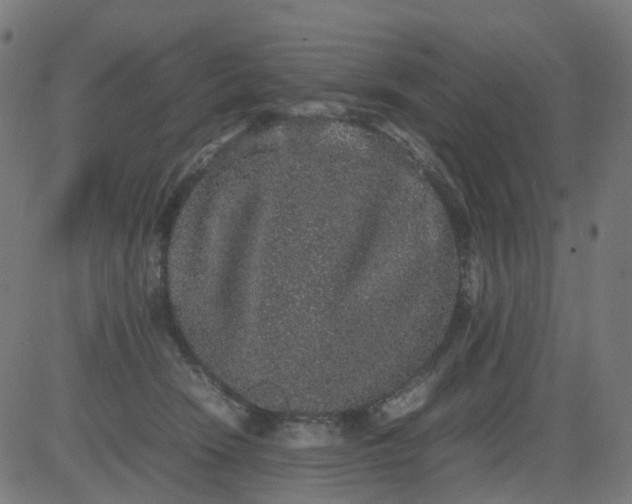 X0000082740466200702091908