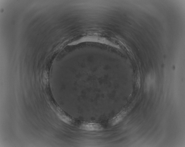 X0000082740467200702091908