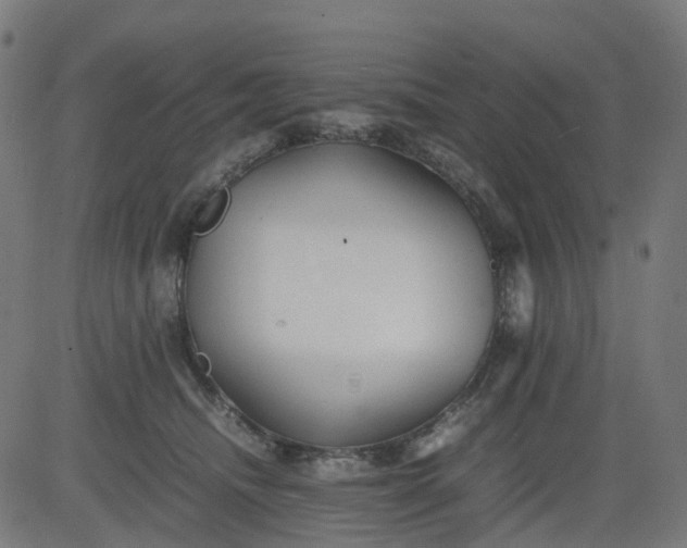 X0000082740468200702091908