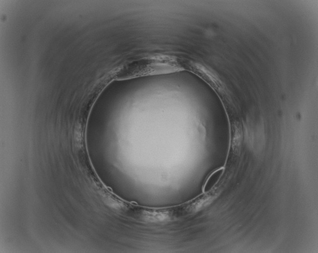 X0000082740469200702091908