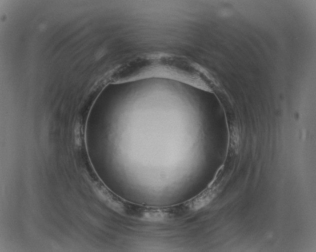 X0000082740470200702091908