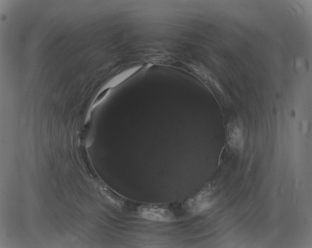 X0000082740471200702091908