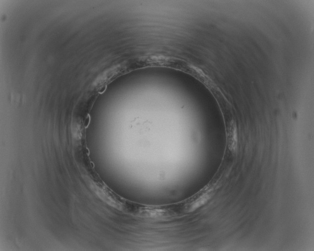 X0000082740472200702091908