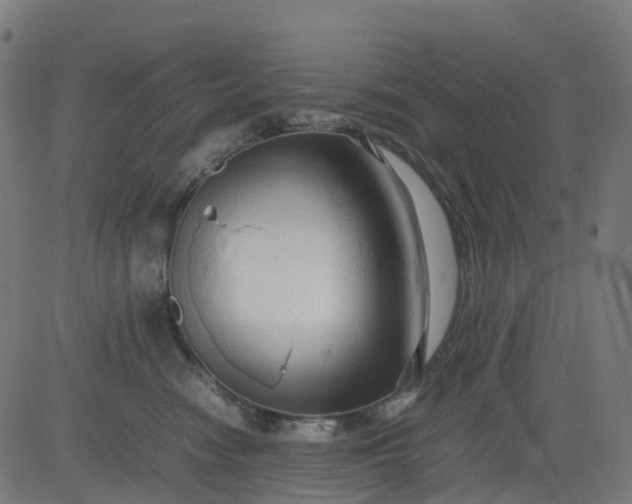 X0000082740474200702091908