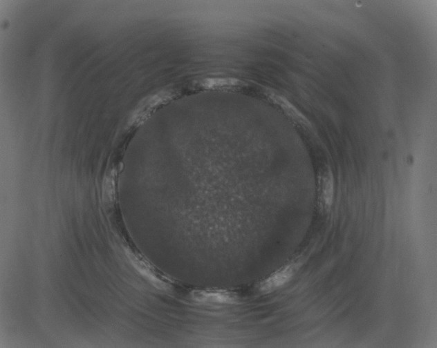 X0000082740475200702091908