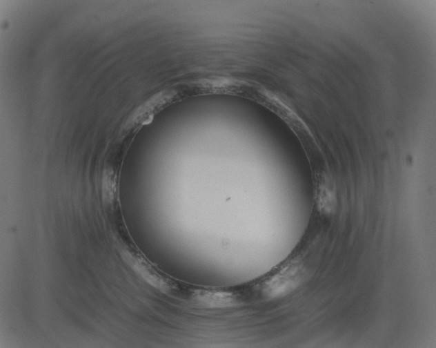 X0000082740476200702091908