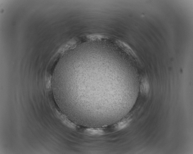 X0000082740477200702091908