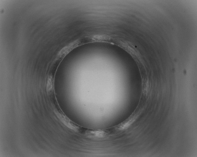 X0000082740478200702091908