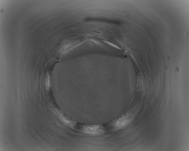 X0000082740479200702091908