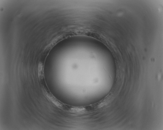 X0000082740480200702091908