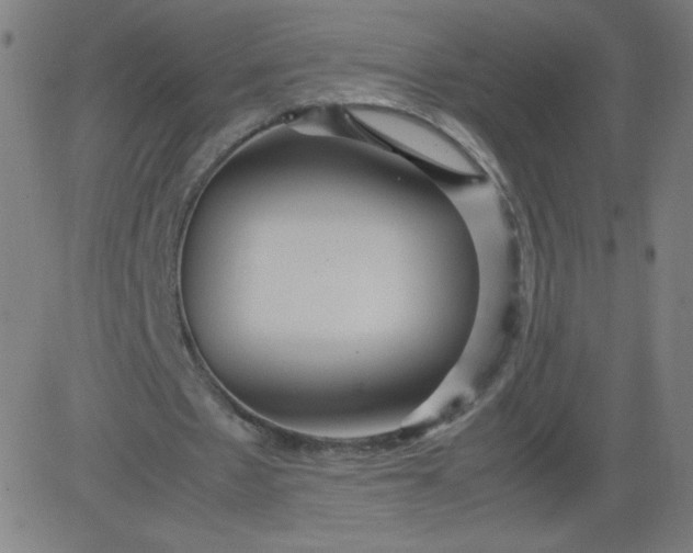 X0000082740481200702091907