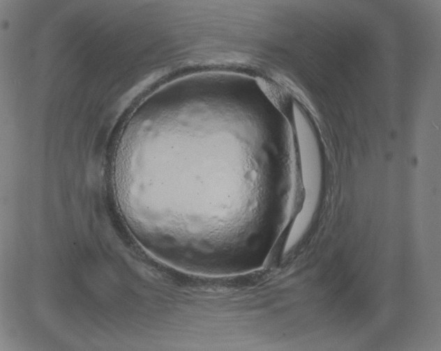 X0000082740483200702091907