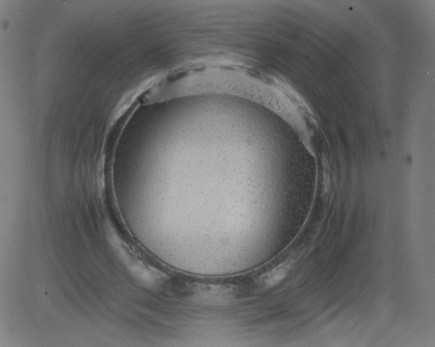 X0000082740486200702091907