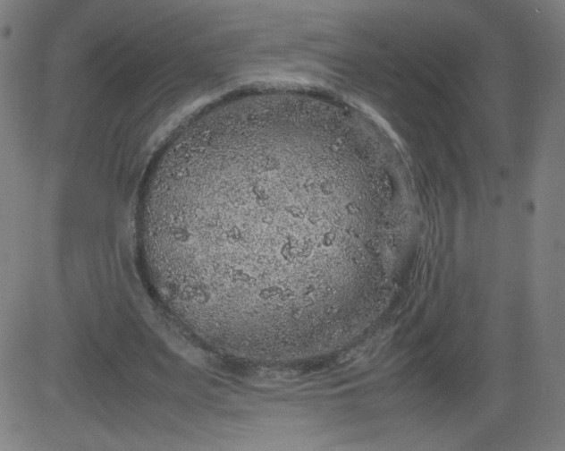 X0000082740487200702091907