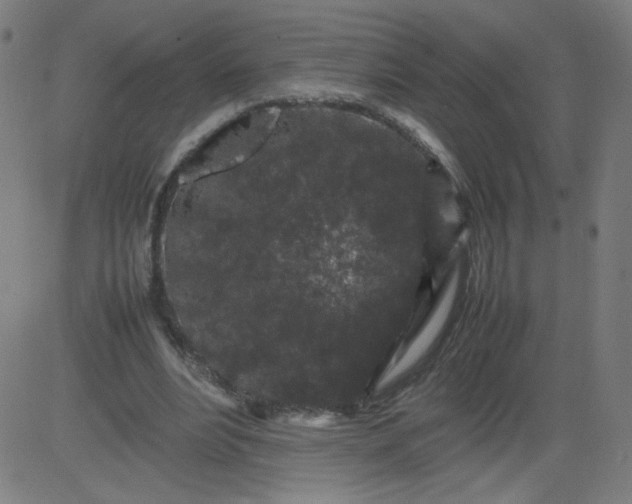 X0000082740488200702091907