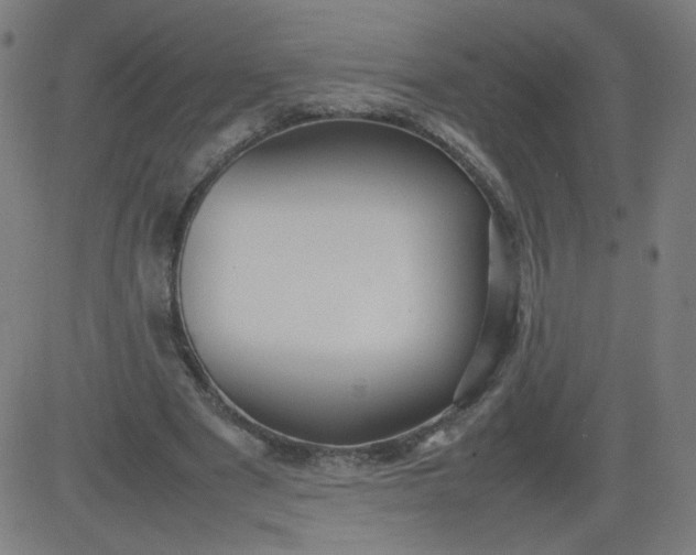 X0000082740489200702091907