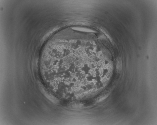 X0000082740491200702091907