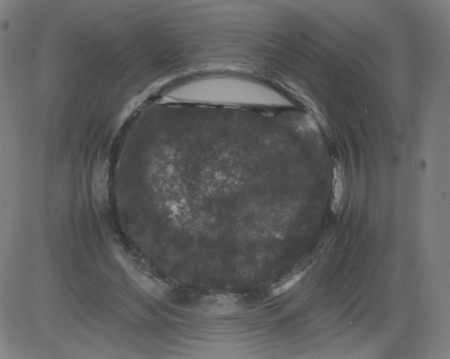 X0000082740492200702091907