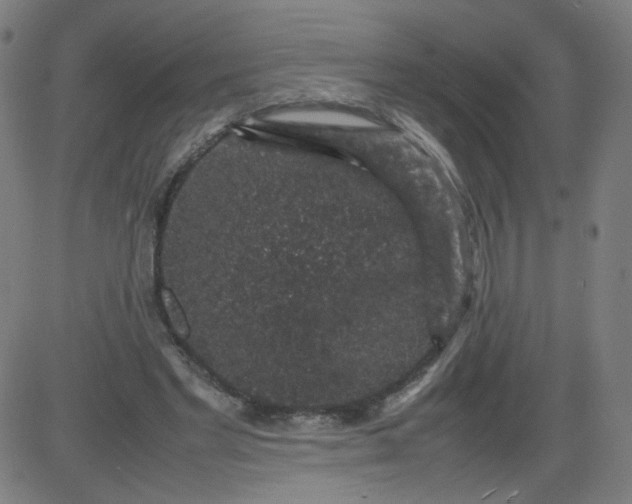 X0000082740493200702091907