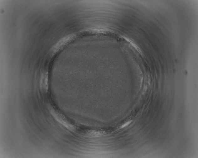 X0000082740494200702091907