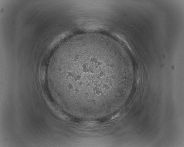 X0000082740495200702091907