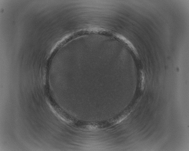 X0000082740496200702091907