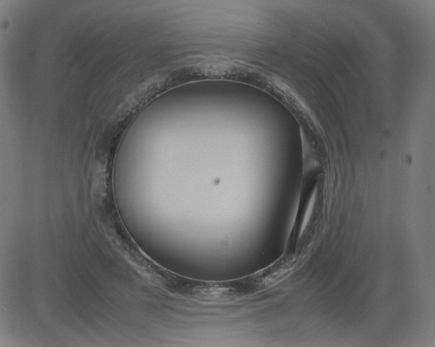 X0000082740497200702091907