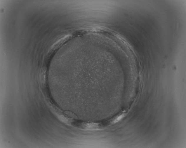 X0000082740501200702091907