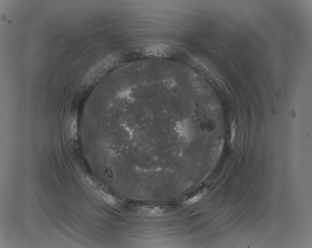 X0000082740502200702091907