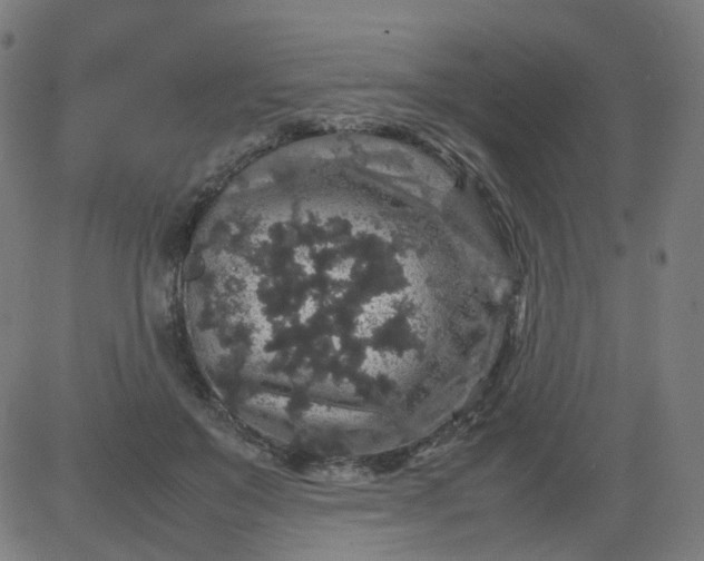 X0000082740503200702091907