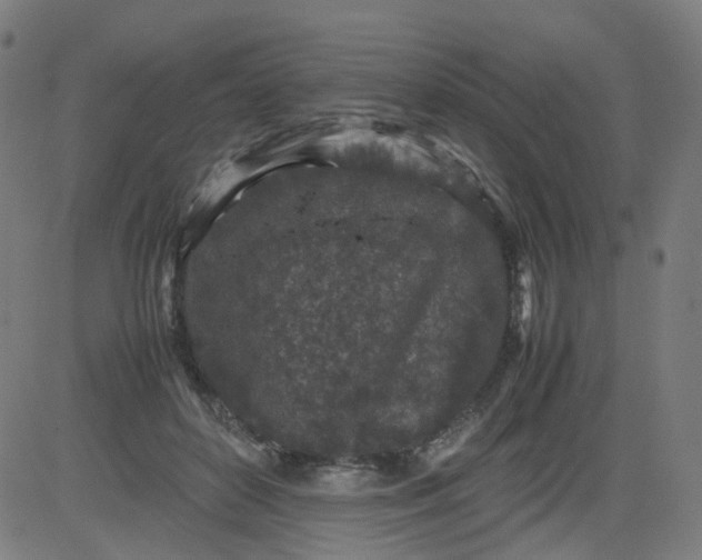 X0000082740504200702091907