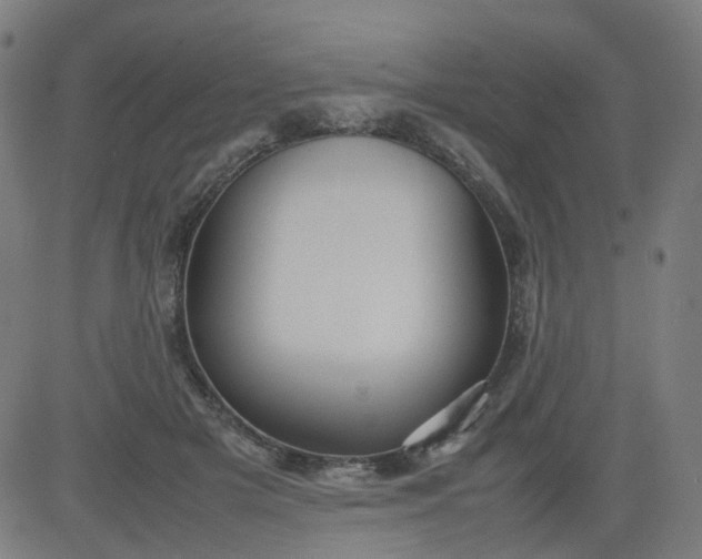 X0000082740505200702091907