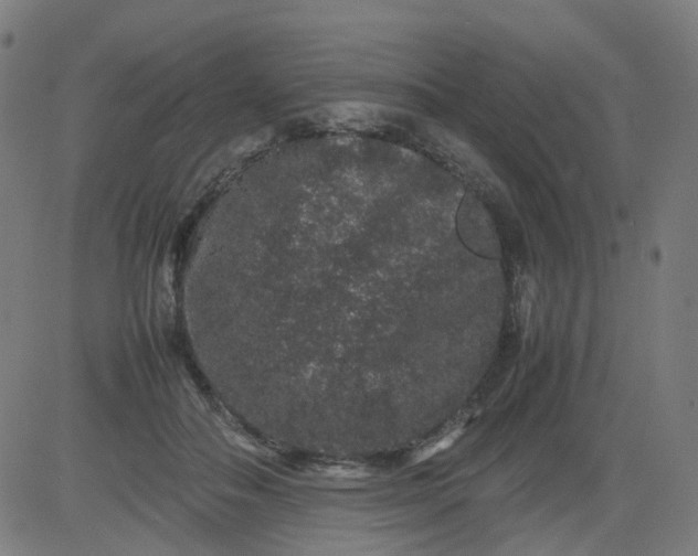 X0000082740506200702091907