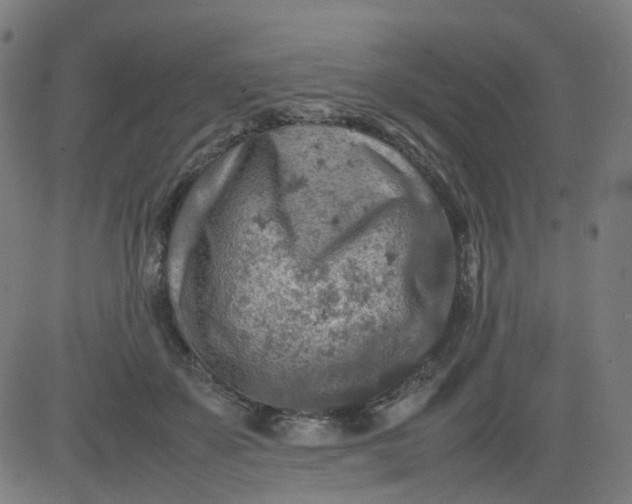 X0000082740507200702091907