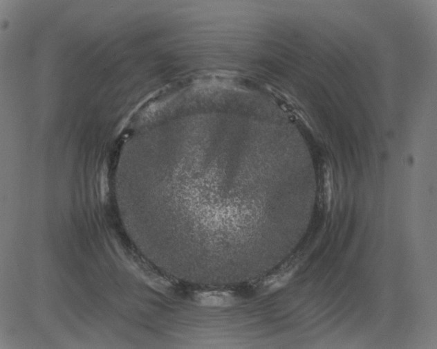 X0000082740508200702091907