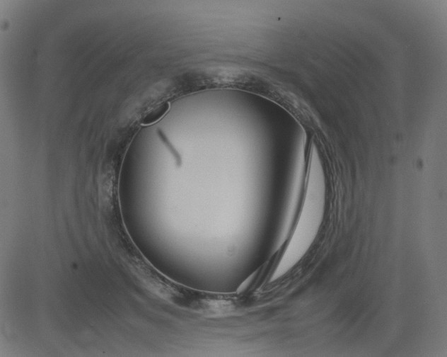 X0000082740509200702091907