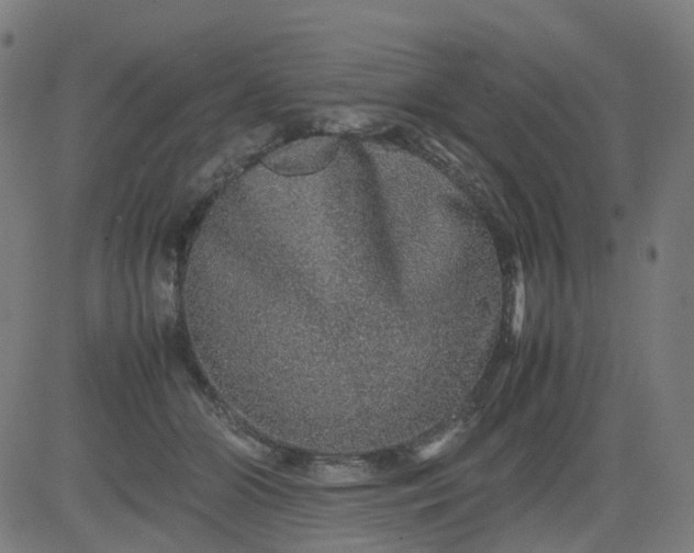 X0000082740510200702091907