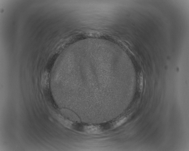 X0000082740511200702091907