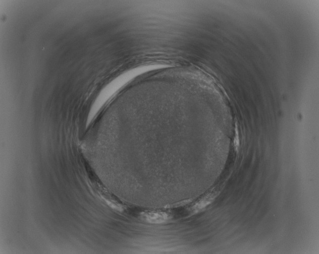 X0000082740512200702091906