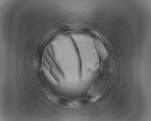 X0000082740513200702091906